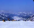 Go to  Fukushima Ski Area Secretariat HP