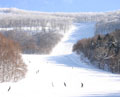 Go to  Fukushima Ski Area Secretariat HP